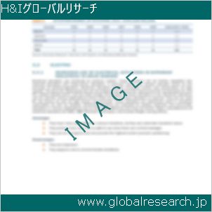 グローバルリサーチ調査レポートのイメージ